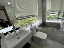 Angullia Park Residences @ Orchard (D10), Apartment #455104911